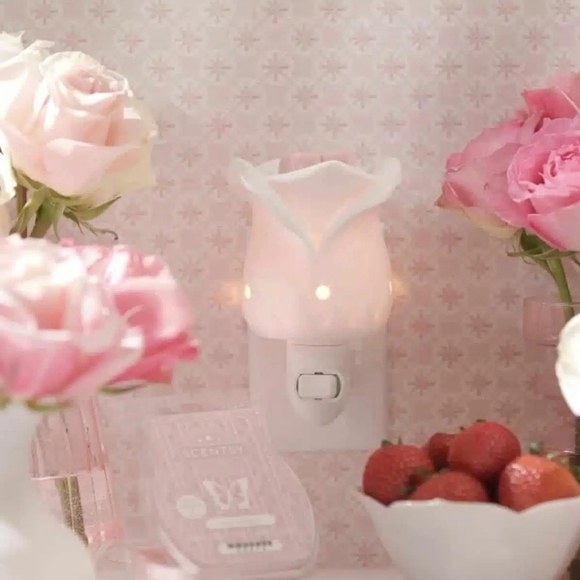 💜-SCENTSY | TEA ROSE PLUG IN - Picture 1 of 3